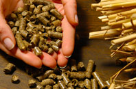 free Diptonmill biomass boiler quotes